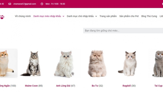 Thiết kế website cửa h&agrave;ng Trao đổi v&agrave; chăm s&oacute;c sức khỏe Ch&oacute; M&egrave;o
