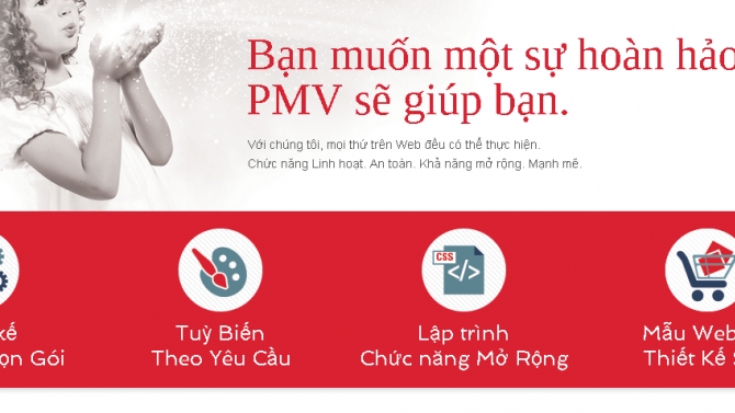 Website dịch vụ PMVIET