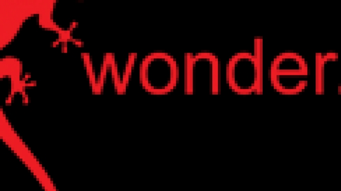 Nhập dữ liệu v&agrave; edit nội dung website Wonder