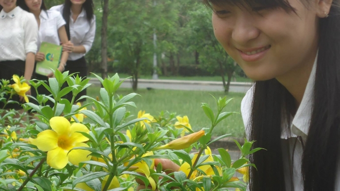 Viết nội dung cho web