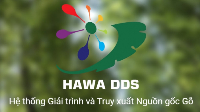HAWA DDS &ndash; Hệ thống truy xuất nguồn gốc gỗ HAWA DDS (HAWA Due Diligent System)