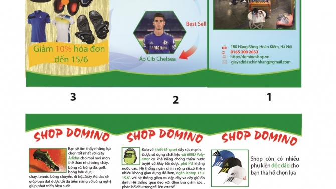 thiết Kế Brochure