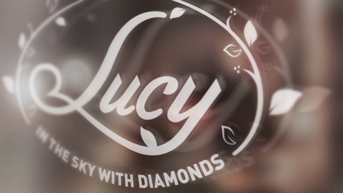 Branding of Lucy Fashion Shop