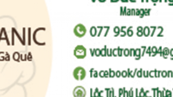 Thiết kế Cardvisit