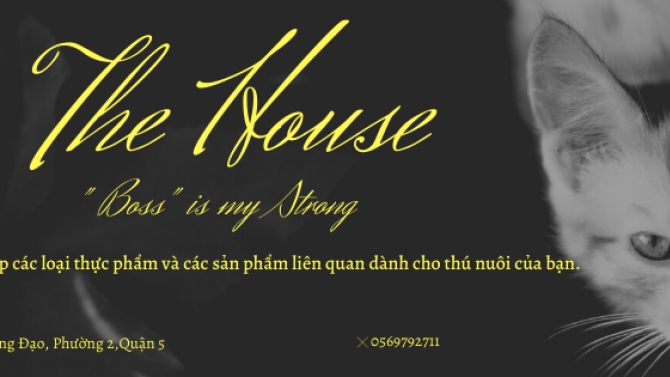 Thiết kế ảnh b&igrave;a fanpage