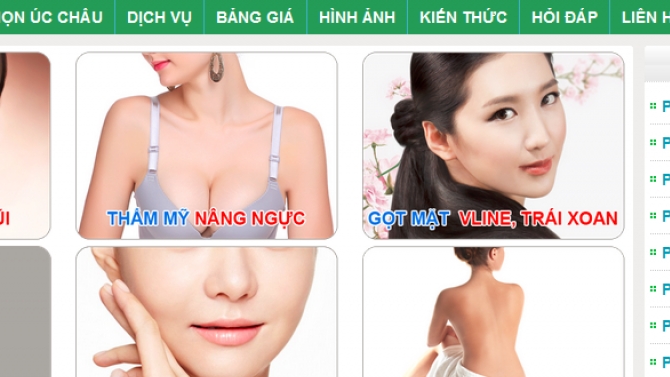 SEO LEADER THẨM MỸ &Uacute;C CH&Acirc;U
