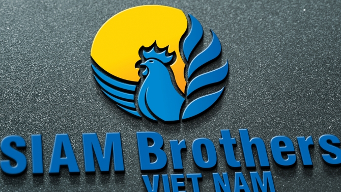Thiết kế Logo C&ocirc;ng ty Siam Brothers Việt Nam