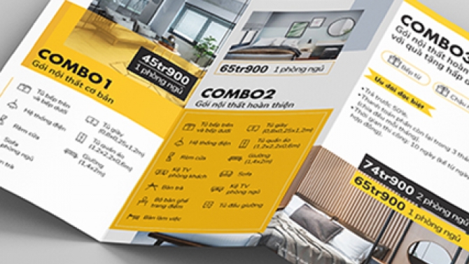 Thiết kế Brochure