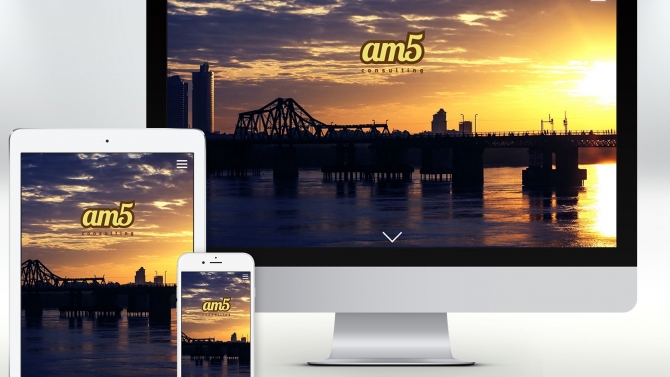 Thiết kế website giới thiệu c&ocirc;ng ty am5