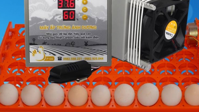 Dự &aacute;n SEO m&aacute;y ấp trứng &Aacute;nh Dương