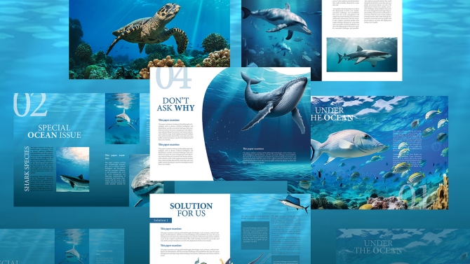 [Thiết Kế Layout] Ocean