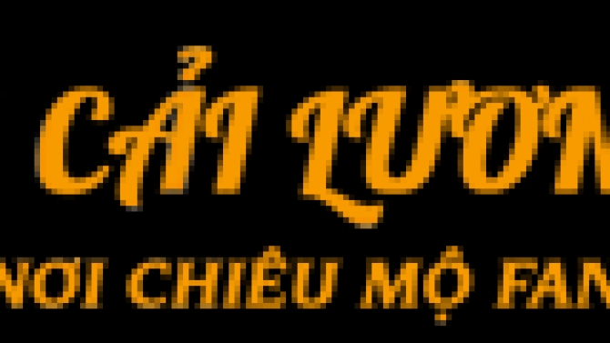 SEO cho site