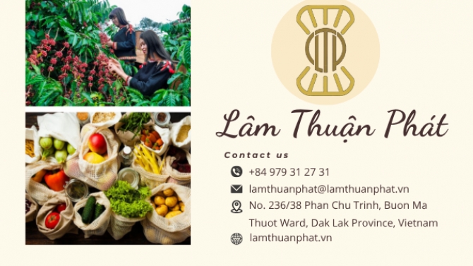 Thiết kế giao diện website lamthuanphat.vn