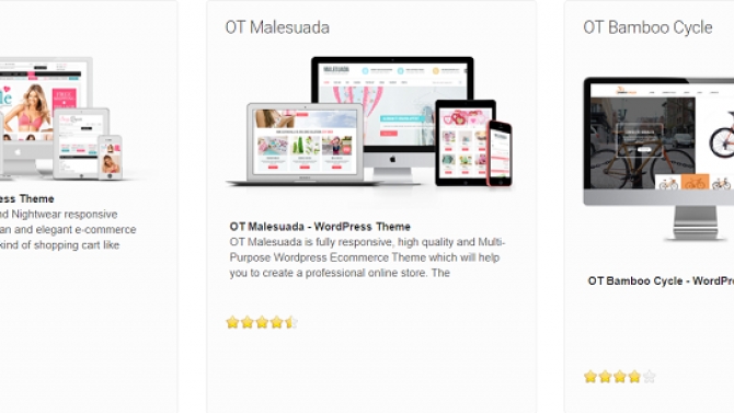 Develop themes and plugins for WordPress
