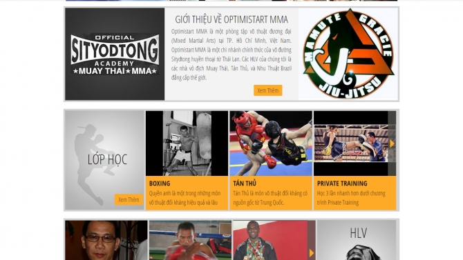 Optimistart MMA