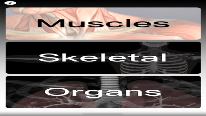 Mobile Application Anatomy Quiz Pro