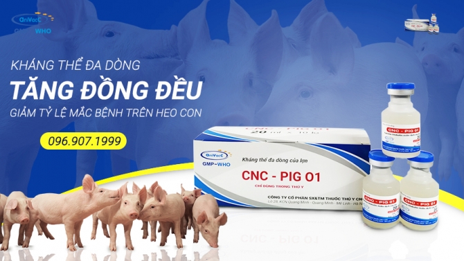 Thiết kế ảnh giới thiệu sản phẩm