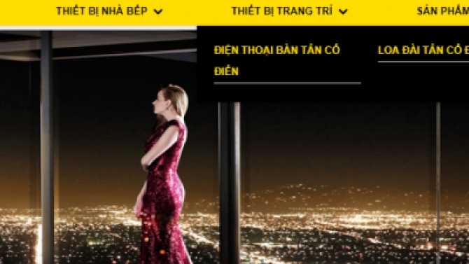 Website giới thiệu b&aacute;n h&agrave;ng