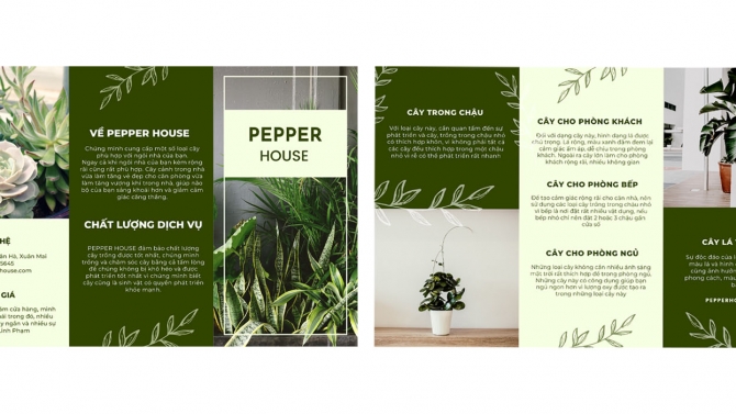 Thiết kế brochure pepperhouse