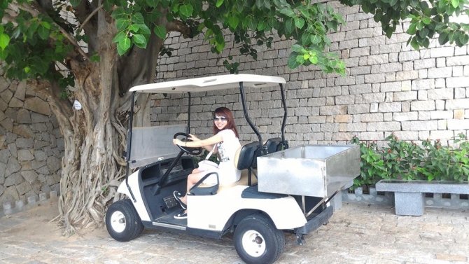 hồ sơ năng lực _ ngo thi phuong