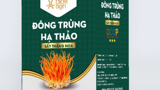 Thiết Kế Tem Hộp