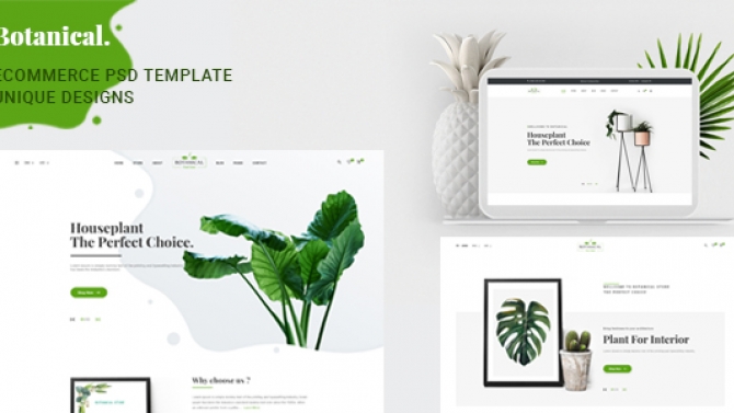Website thương mại điện tử b&aacute;n c&acirc;y cảnh