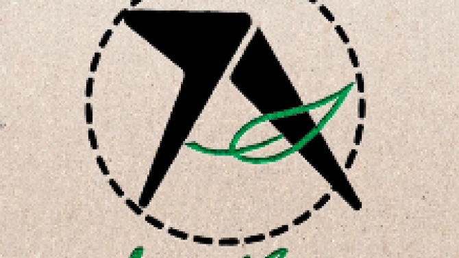 Thiết kế Logo