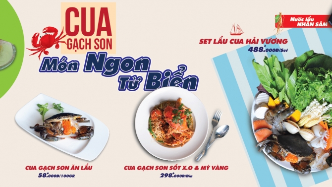 THIẾT KẾ BANNER QUẢNG C&Aacute;O
