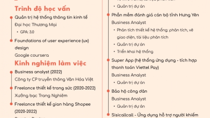 Business Analyst