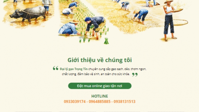 Gạo Trọng T&iacute;n