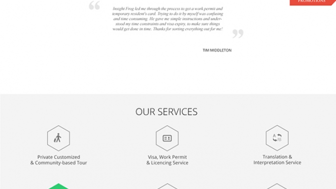 InsightFrog Website