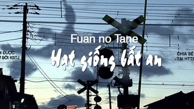 Banner cho phim  đăng tr&ecirc;n kst.vn