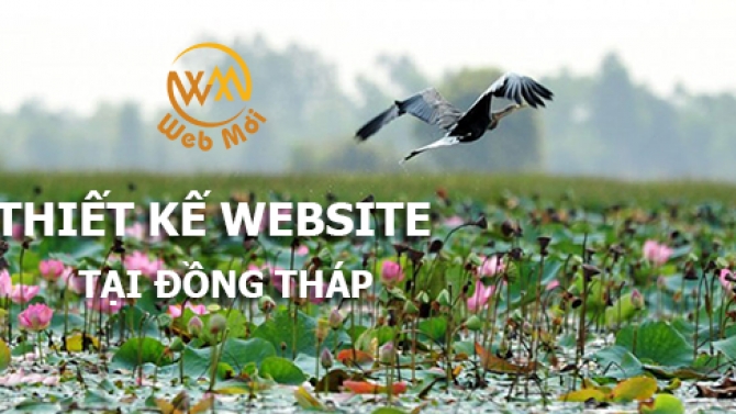 Thiết kế website tại Đồng Th&aacute;p