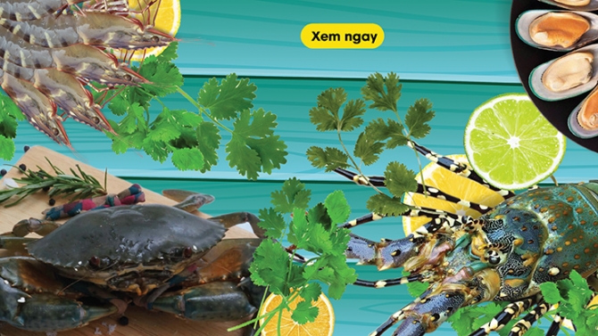 Banner quảng c&aacute;o cho website haisansong.vn