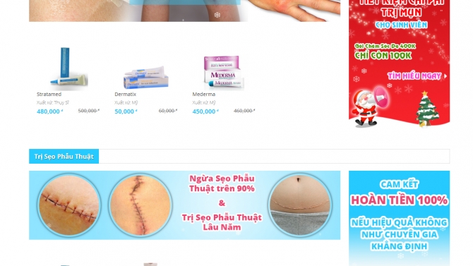 Thiết Kế V&agrave; Lập Tr&igrave;nh Website nhathuocchuyentriseo.com