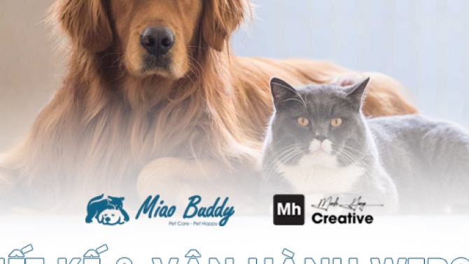 Thiết kế & vận h&agrave;nh website Miao Buddy