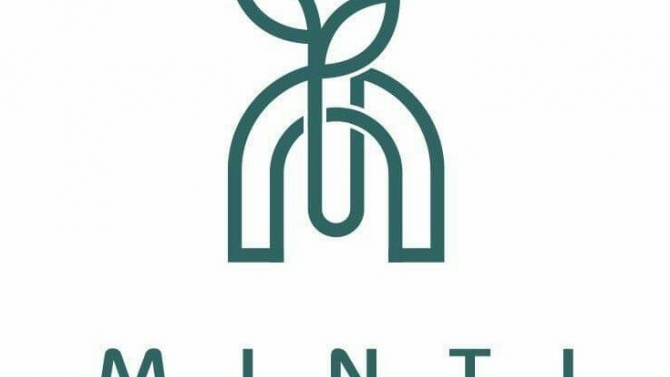 X&acirc;y dựng website MINTI