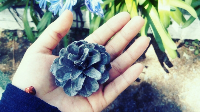 Viết Blog