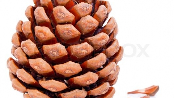 thiết kế minh họa truyện
