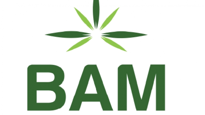 Logo brand BAM