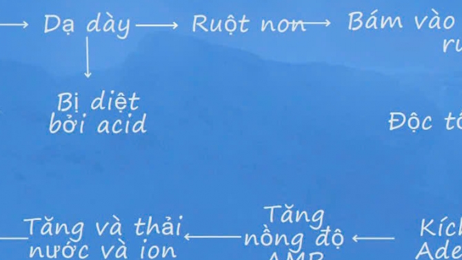 Dự &aacute;n thuyết tr&igrave;nh cơ chế g&acirc;y bệnh của vi khuẩn