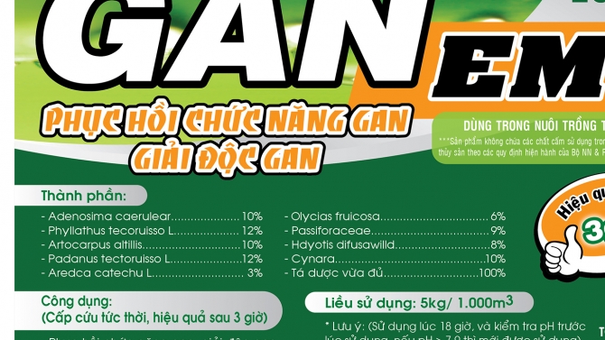 Thiết kế nh&atilde;n Gan EMG