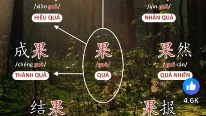 Video từ vựng tiếng Trung