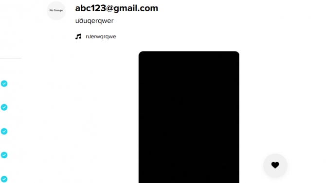 tiktok website