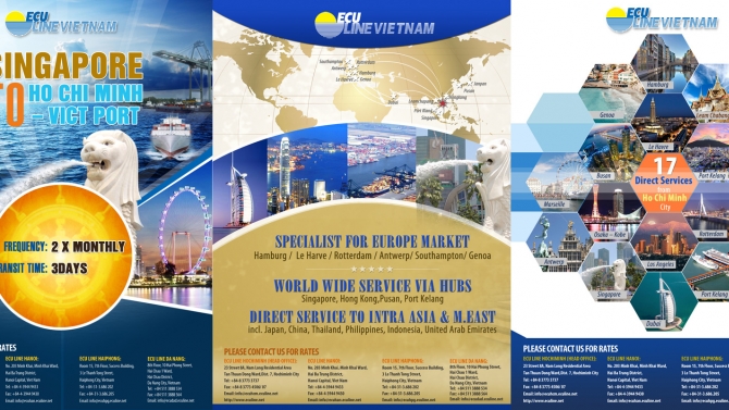 Thiết kế Flyer/email marketing