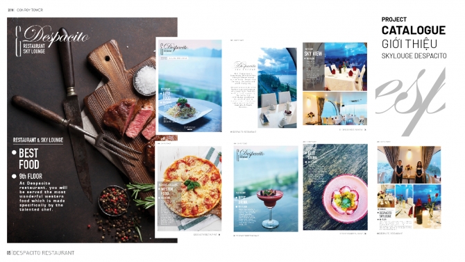Catalogue giới thiệu Skylouge Despacito