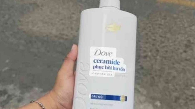 Review chi tiết về dầu gội Dove c&oacute; thật sự hiệu quả?
