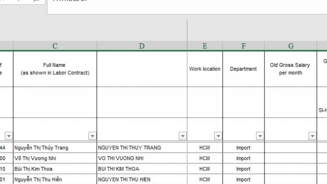 C&aacute;c dự &aacute;n payslip