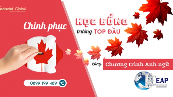 Thiết kế banner quảng c&aacute;o - cover