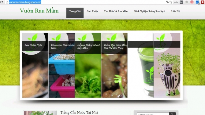 Ph&aacute;t triển website Rau Sạch